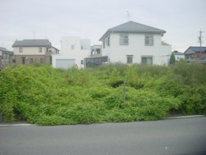 羽島市　空き地の草刈り