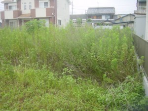 羽島市　空き地の草刈り